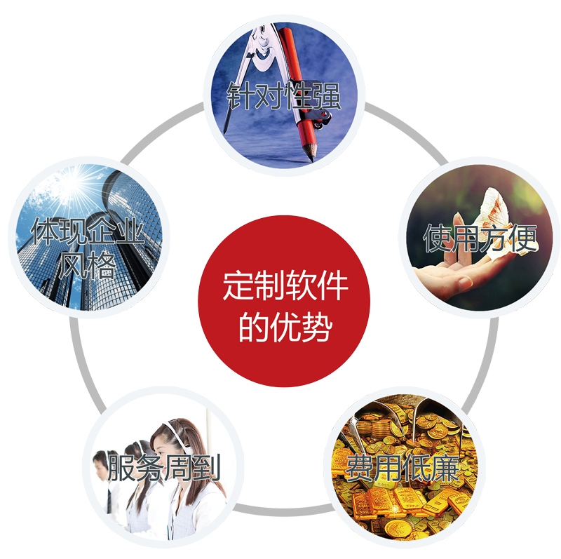 企业软件定制